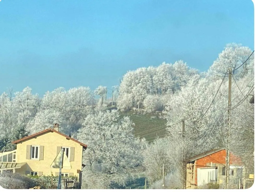 Jolie Maison En Pierre Cuinzier 0*,  France